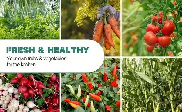 2 Pack Galvanized Raised Garden Bed Kit, 4x2FT Outdoor Metal Planter Boxes for Vegetables Herbs Flowers, Easy Assemble Lightweight Gardening Beds