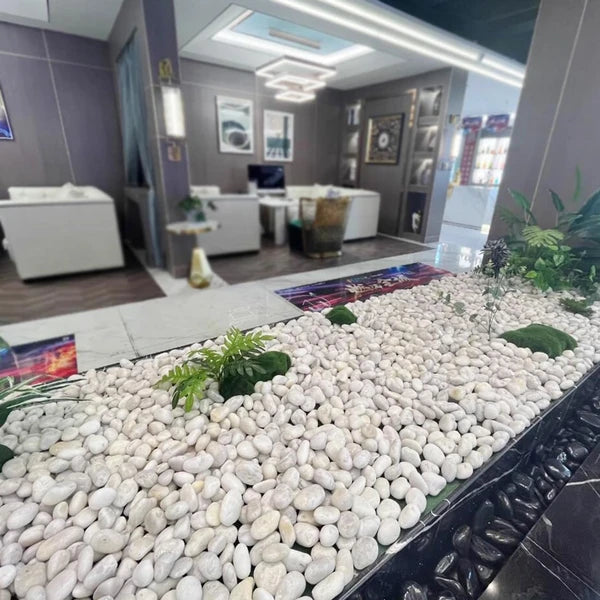38lbS Large White River Rocks 2-3 Inch - Natural Polished Pebbles for Landscaping, Garden Decor, Aquariums, Decorative Stones for Pathways, Planters