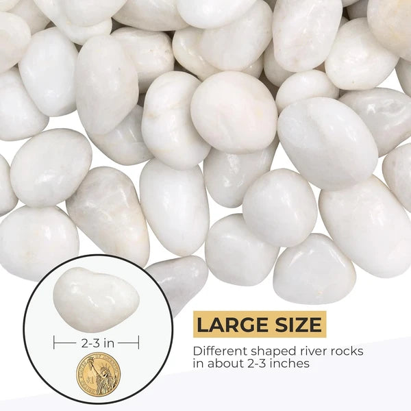 38lbS Large White River Rocks 2-3 Inch - Natural Polished Pebbles for Landscaping, Garden Decor, Aquariums, Decorative Stones for Pathways, Planters