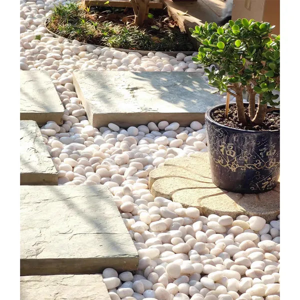 38lbS Large White River Rocks 2-3 Inch - Natural Polished Pebbles for Landscaping, Garden Decor, Aquariums, Decorative Stones for Pathways, Planters