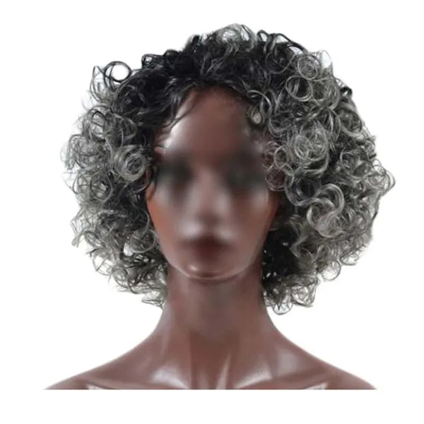 Black Grey Afro Short Curly Wig Fluffy Wavy 12 Inch