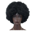 Black Short Afro Curly Hair Wig Large Fluffy