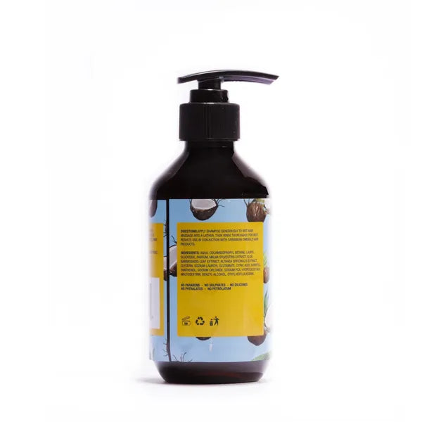 Coconut Shampoo for Curly Hair 2
