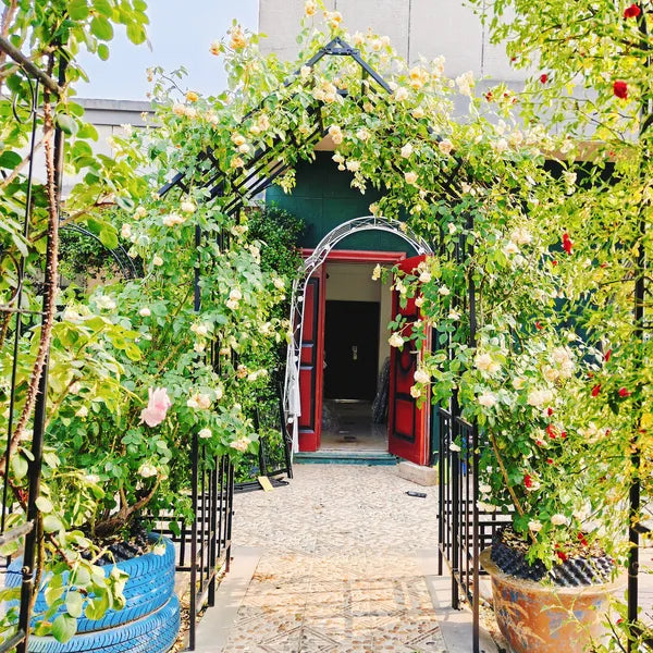 Metal Garden Arch with Adjustable Width W42.52''~W78.15'' Climbing Plants Support Rose Arch Outdoor Black